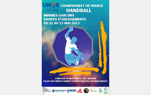 Les -15G du collège au Championnat de France UNSS !